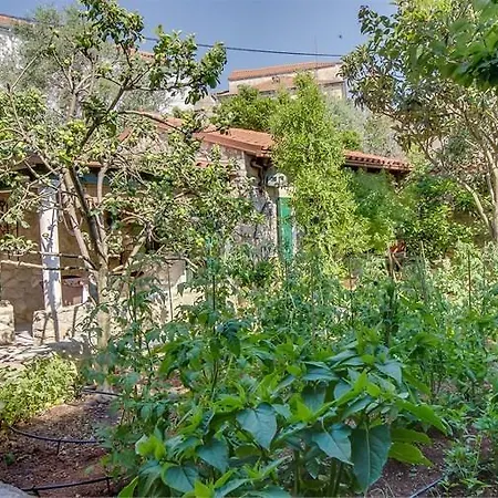 Julia Вели-Лошинь