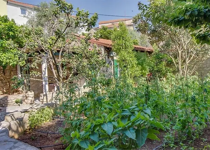 Julia 베리로신즈